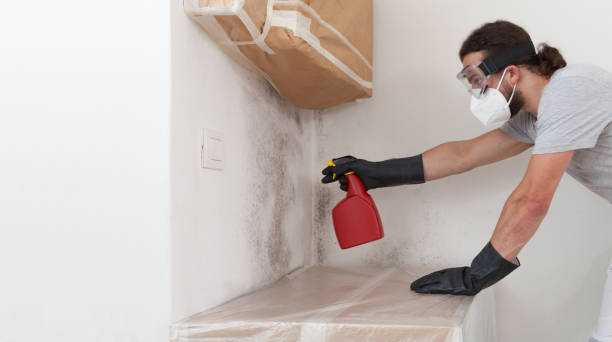 Attic Mold Remediation treatment on roof deck in Lemoyne